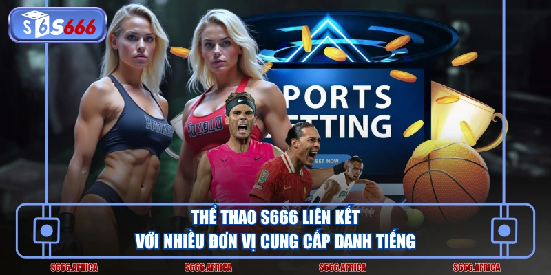 Thể thao S666 liên kết với nhiều đơn vị cung cấp danh tiếng